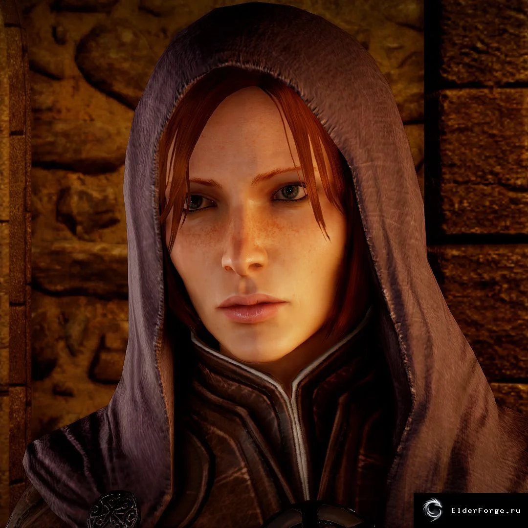 Обложка мода: Dragon Age: Inquisition – Leliana Nightingale 1.1: косметический ремейк