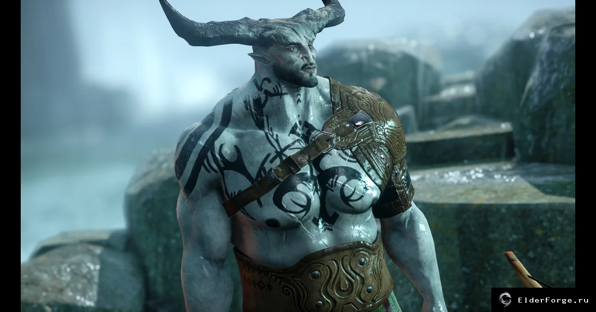 Обложка мода: Dragon Age: Inquisition – Новый нательный витаар «Bull's Bodyvitaar 1.0»