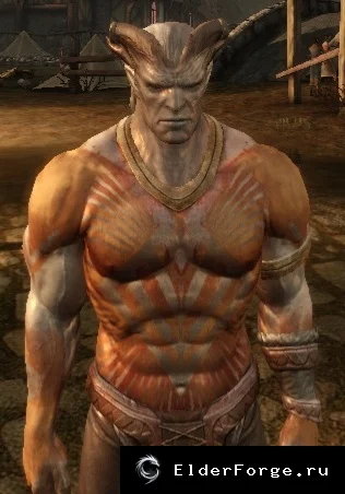 Dragon Age: Origins: Улучшенные модели Кунари – новые текстуры и варианты стен