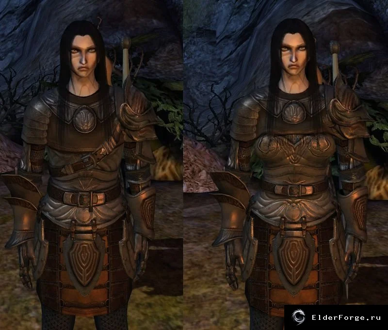 Обложка мода: FHR – замена женской тяжелой кольчуги на мужскую модель в Dragon Age: Origins