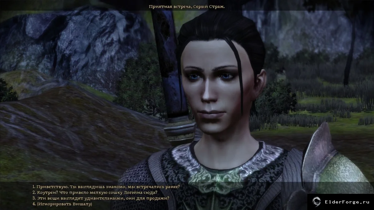 Обложка мода: Искупление Вишалы — новый торговец‑близнец в лагере Dragon Age: Origins
