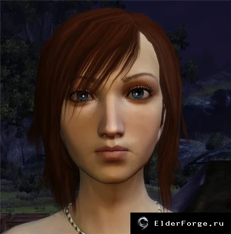 Обложка мода: Новая голова Лелианы для Dragon Age: Origins – My Leliana Headmorph