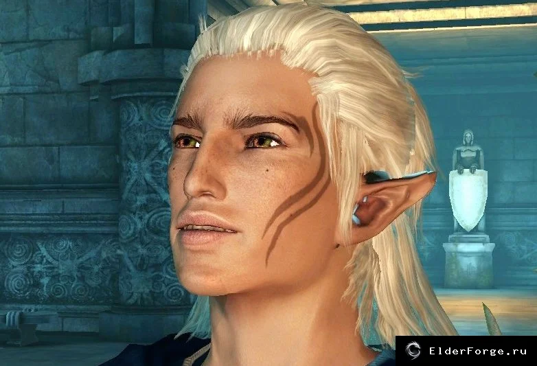 Обложка мода: Новый облик Зеврана для Dragon Age: Origins – стиль DA2