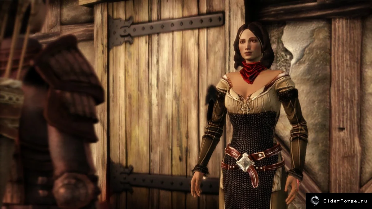 Обложка мода: Семья Хоука в Лотеринге — мод для Dragon Age: Origins