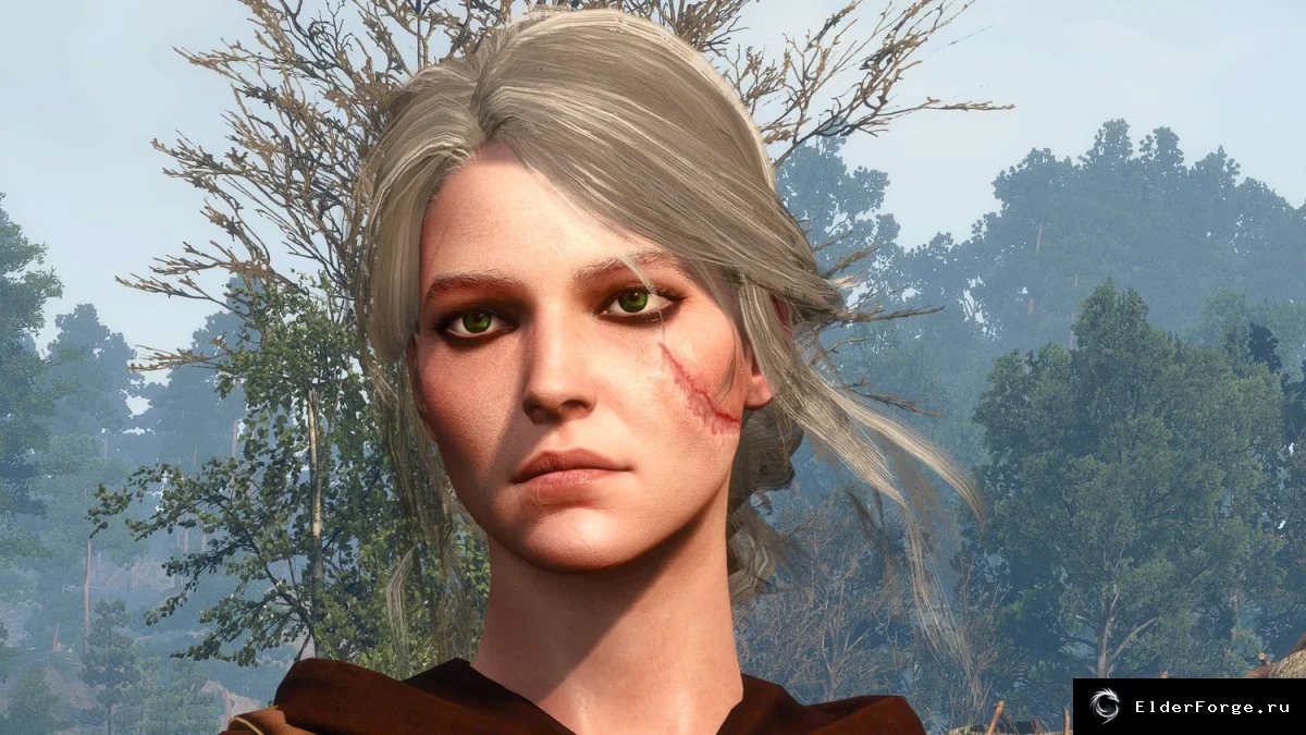 Обложка мода: Серые волосы для Цири – реальный цвет волос в The Witcher 3
