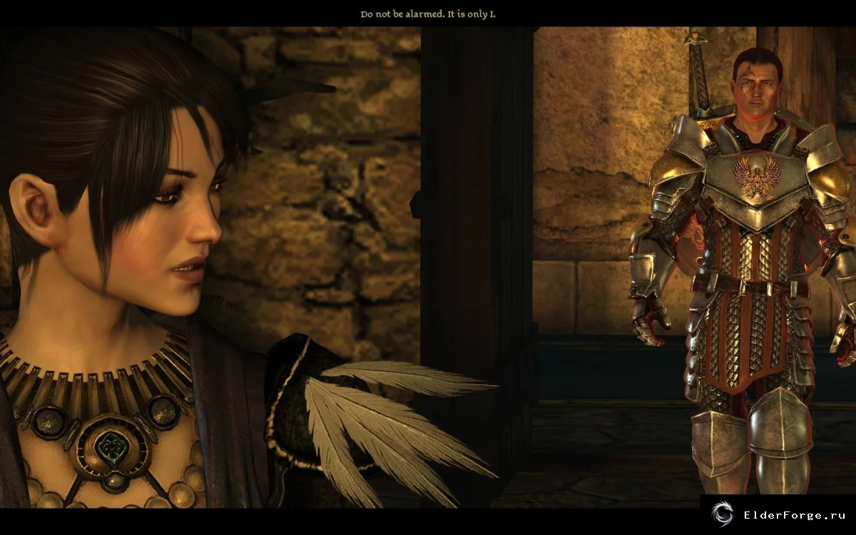 Обложка мода: Текстуры брони из трейлера для Dragon Age: Origins – Warden Armour