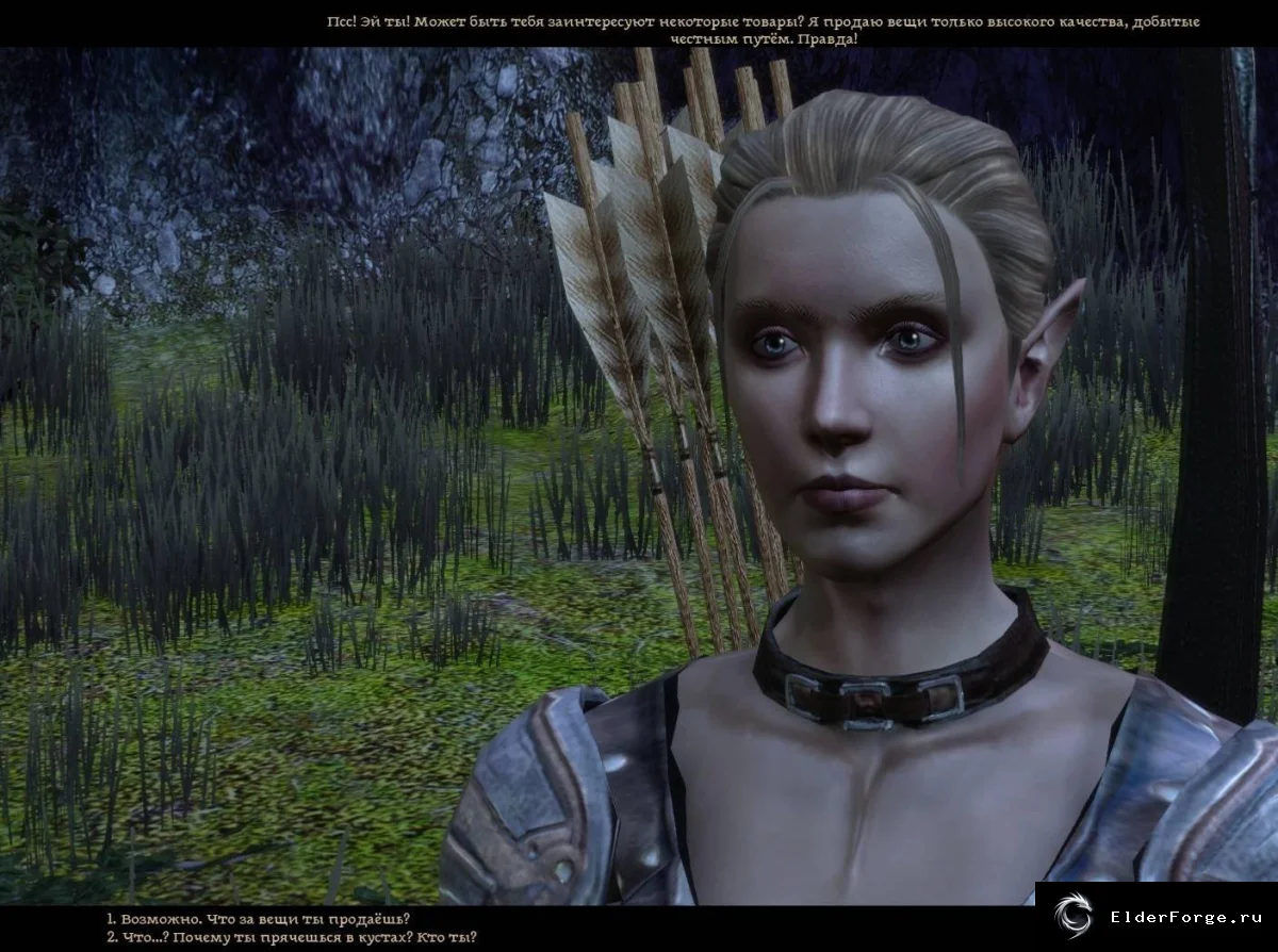 Теневой бизнес – новая торговка с 46 предметами для Dragon Age: Origins