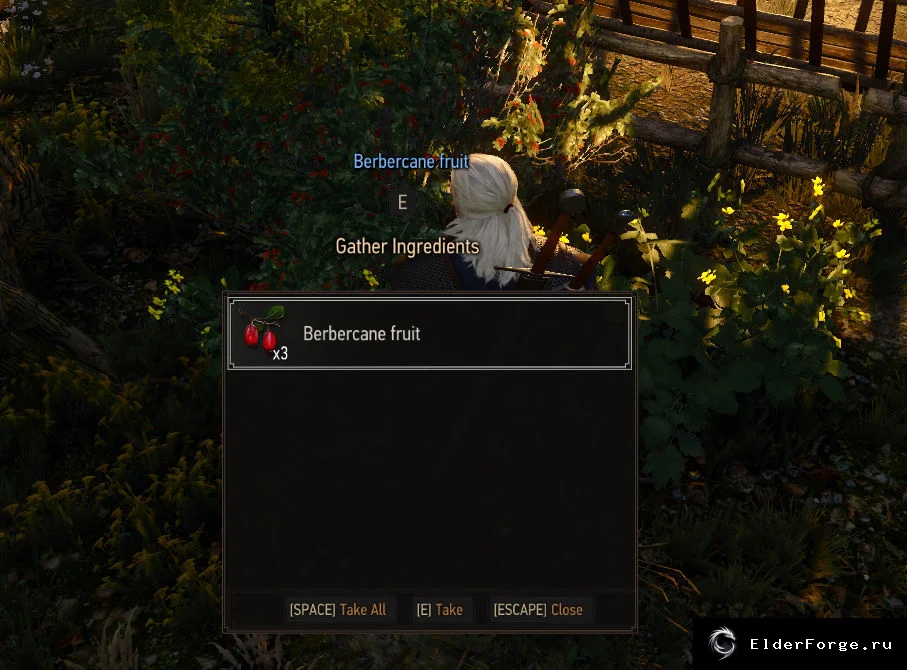 Травник – улучшенный сбор трав и ингредиентов в The Witcher 3