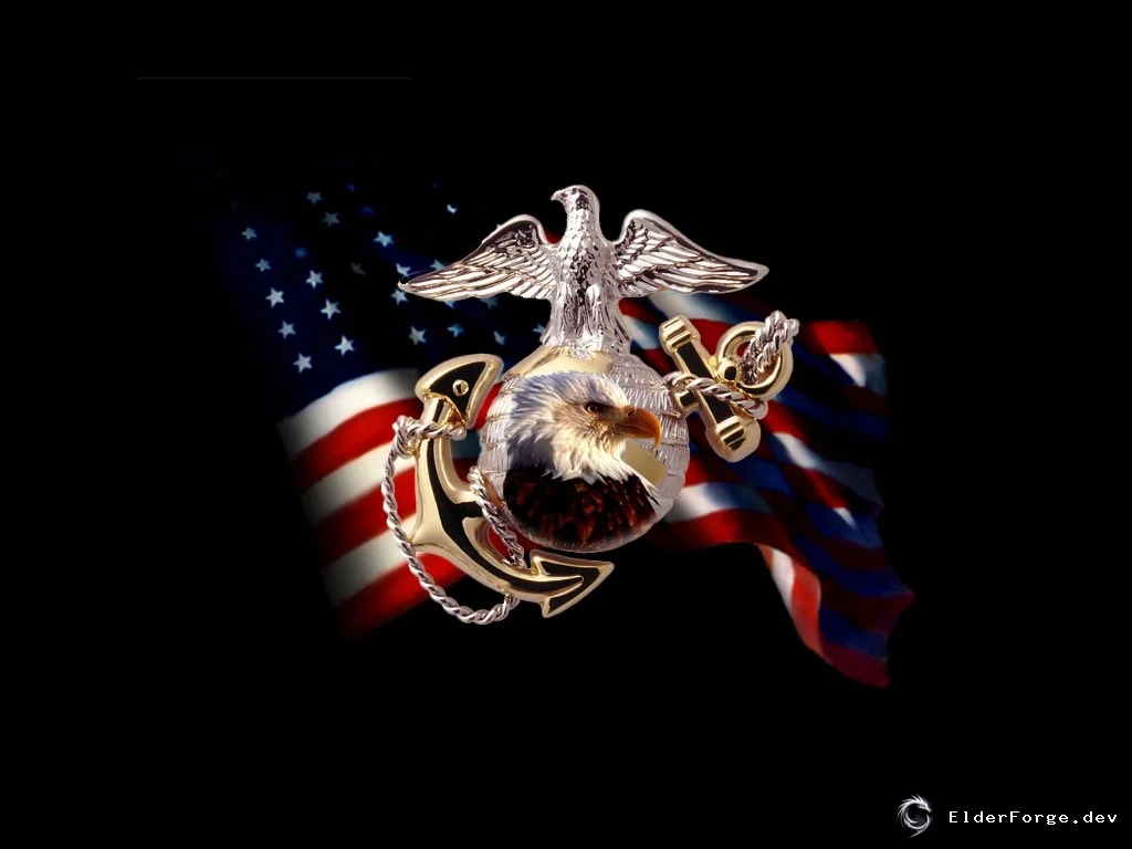 Обложка мода: USMC Trailer Skin v2 для Euro Truck Simulator 2 – военная окраска прицепов