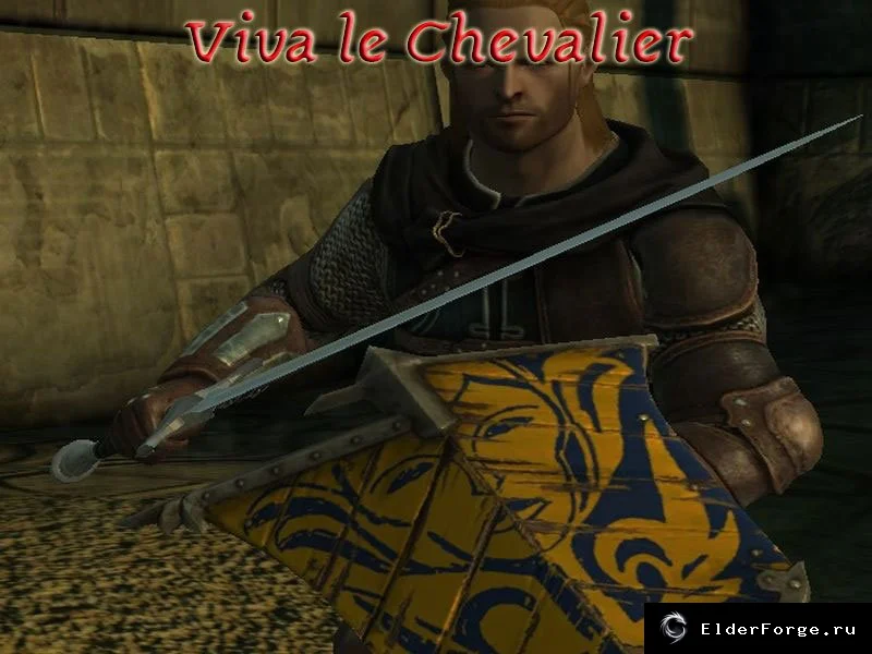 Обложка мода: Viva le Chevalier — новый щит из DLC «Клеймо Убийцы» для Dragon Age: Origins