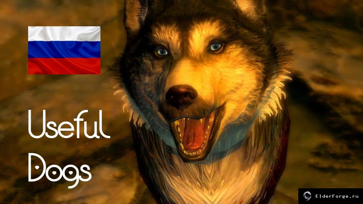 Скриншот 6