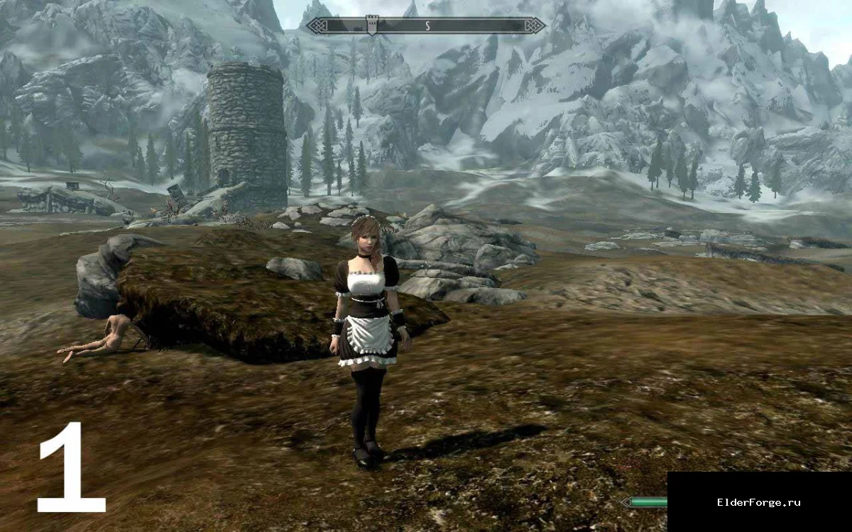 Обложка мода: 2 новых анимации стойки для женских персонажей в Skyrim Legendary Edition
