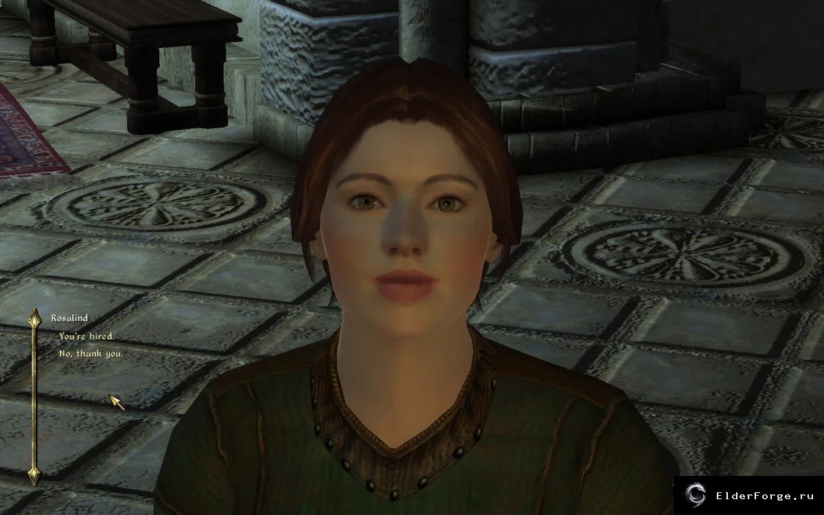 Обложка мода: A Better Benirus Manor — служанка для особняка Бенируса, Oblivion