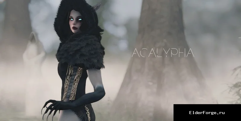 Обложка мода: Акалифа LE / Acalypha — Fully Voiced Follower