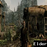 Обложка мода: Альтернативный Фендал для Skyrim SE – новый облик и улучшенные навыки