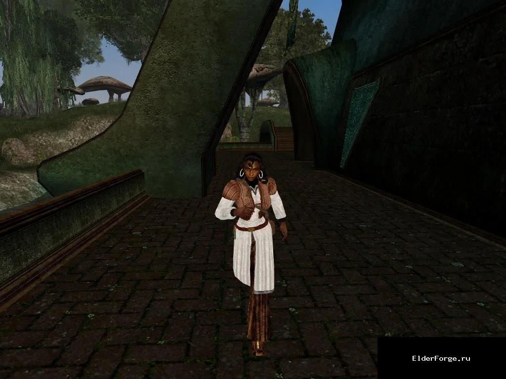 Обложка мода: Анимационный реплейсер от Djok для Morrowind – плавные движения
