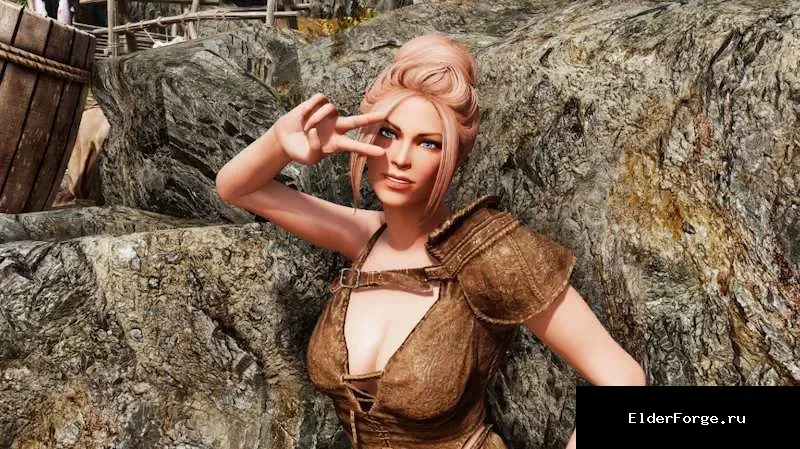 Обложка мода: AW Heroes of the Wade Part 2 SE — пакет из 12 компаньонов для Skyrim