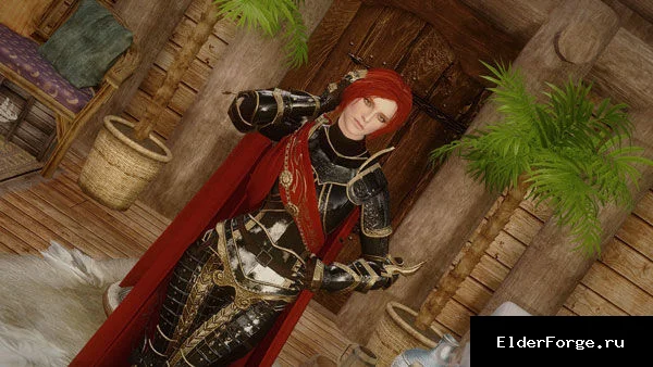 Обложка мода: BDO Орден Солнца — Solar Knight LE