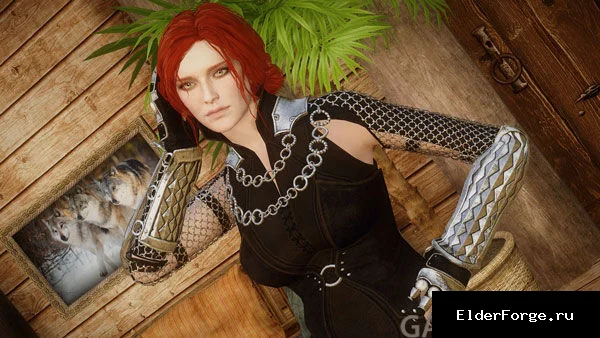 Обложка мода: BDO Таллис — Drakania Talis LE