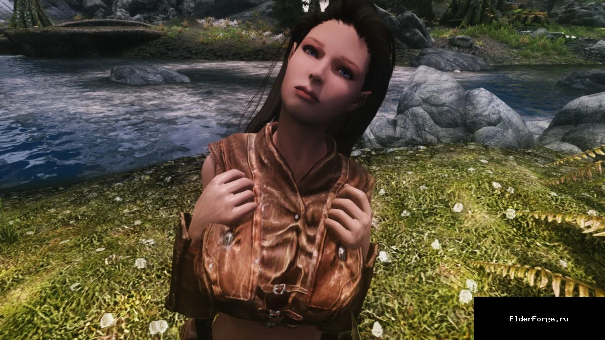 Обложка мода: Бетан — женский компаньон для Skyrim LE: имперка/эльфийка с уникальными параметрами