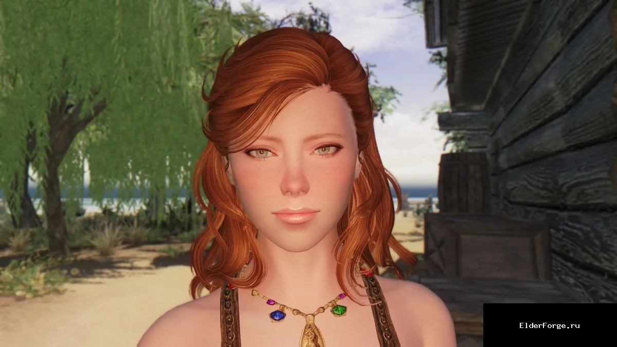 Обложка мода: Блеир – лучница‑спутница с опцией лица Ариссы для Skyrim LE