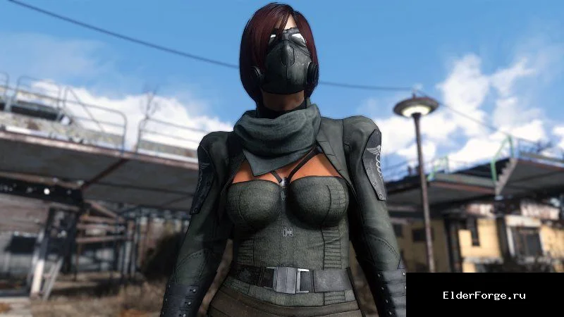 Обложка мода: Боевой костюм медика Братства Стали для Fallout 4 – женская броня