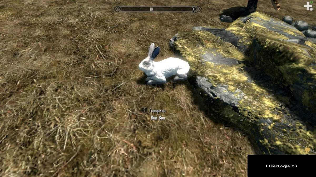 Обложка мода: Болевой кролик – боевой компаньон‑кролик для Skyrim Legendary Edition