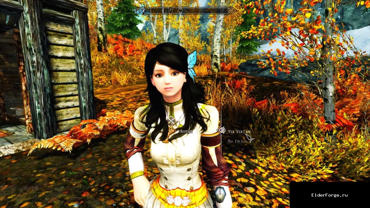 Обложка мода: Брак без амулета Мары – мод для Skyrim LE