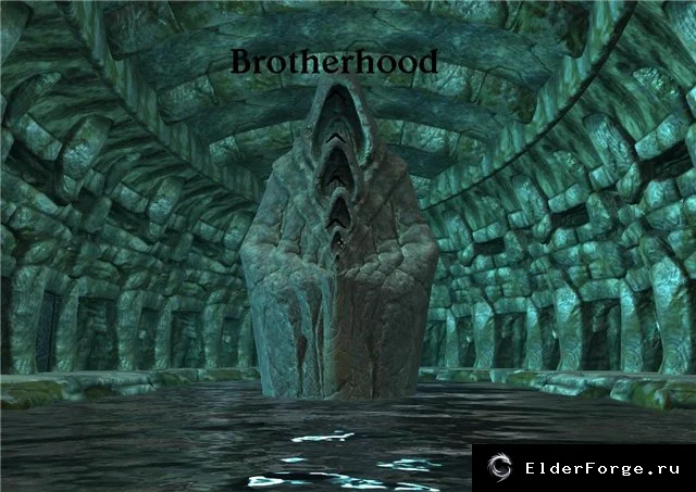 Обложка мода: Братство — подземный город тайного ордена, Skyrim LE