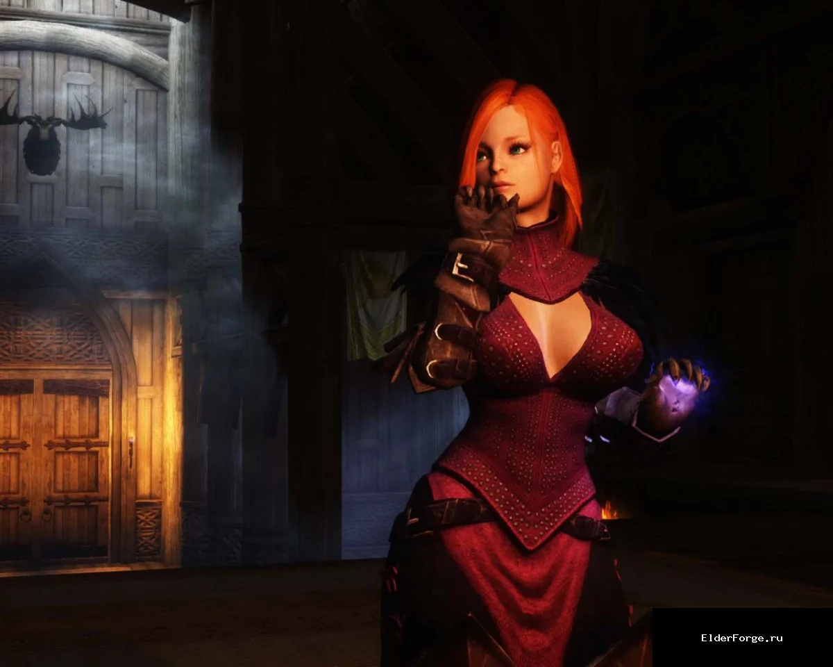 Обложка мода: Броня Флемет из Dragon Age 2 для Skyrim LE – набор UNPB BBP