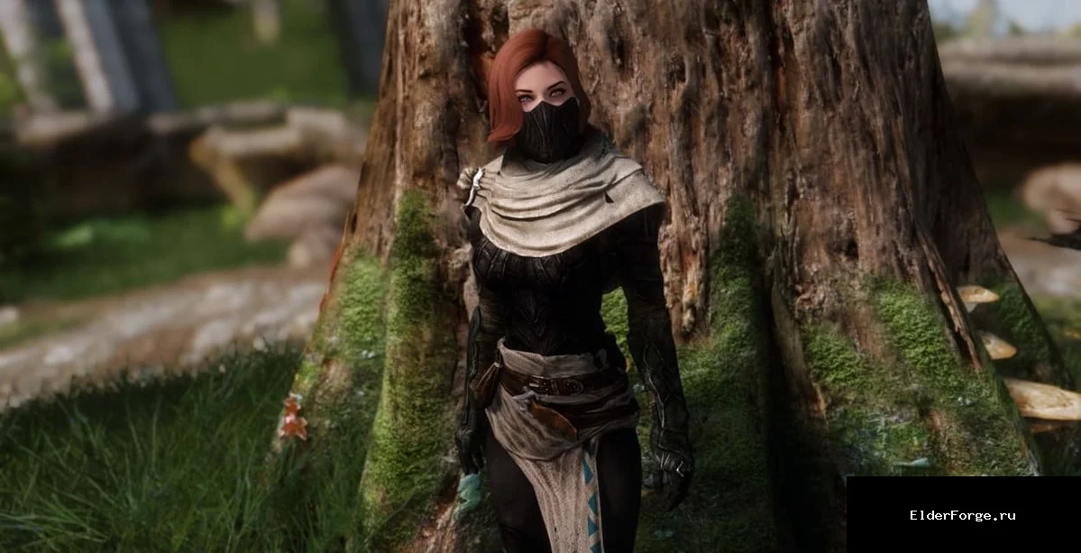 Обложка мода: Броня Расхитителя Гробниц — Dungeon Strider Armor LE