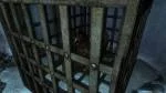 Обложка мода: ChickenBorn – превращает персонажа в гигантскую курицу в Skyrim LE