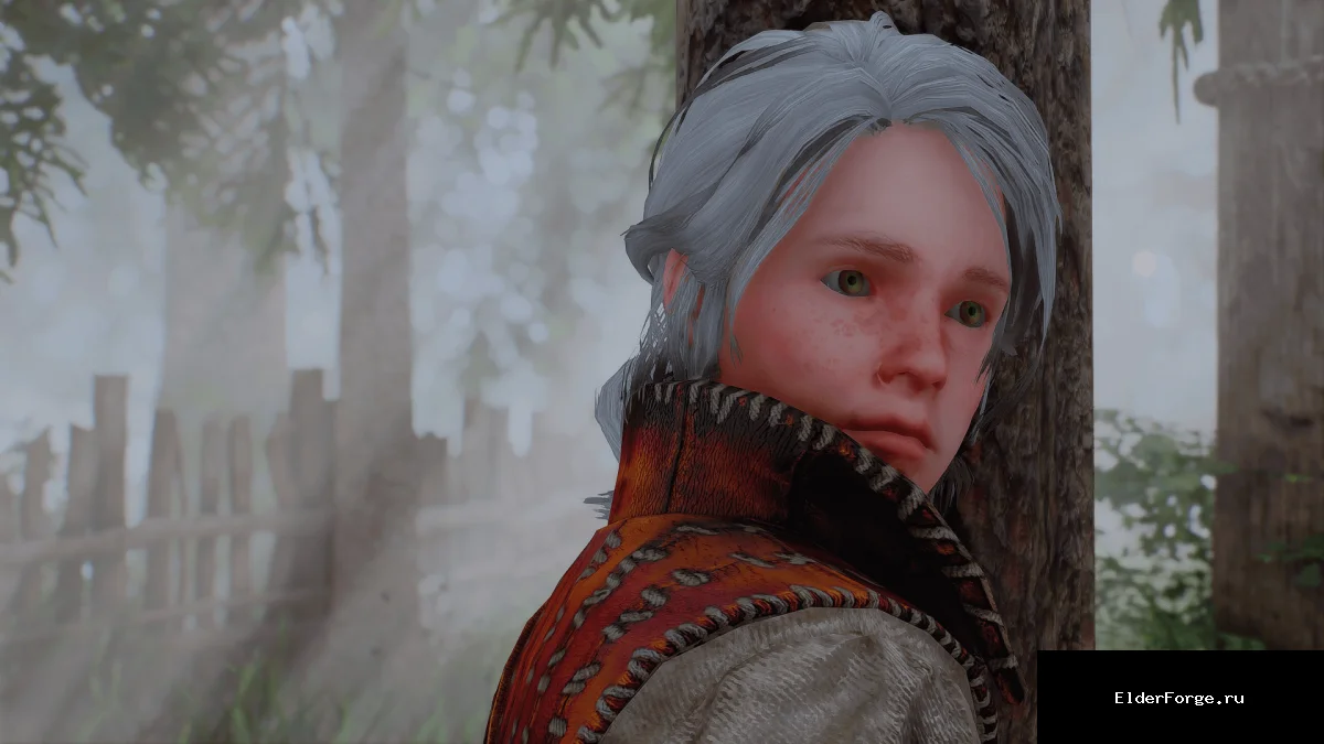 Обложка мода: Цири‑подросток — спутник из The Witcher 3 для Skyrim SE