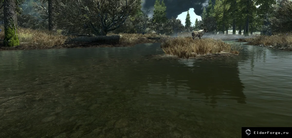 Обложка мода: Чистая вода 5.0 — кристальная прозрачность воды для Skyrim LE