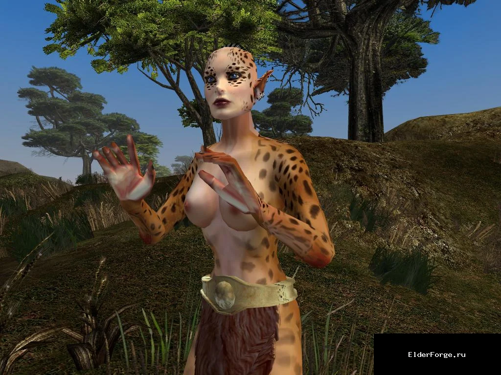 Обложка мода: Читта'меры — новая раса ассасинов и волшебников для Morrowind