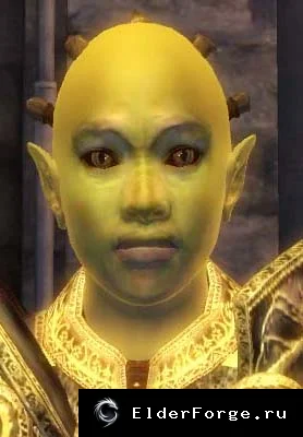 Обложка мода: Новые головы орков для Oblivion — Cute Orc Head Replacer