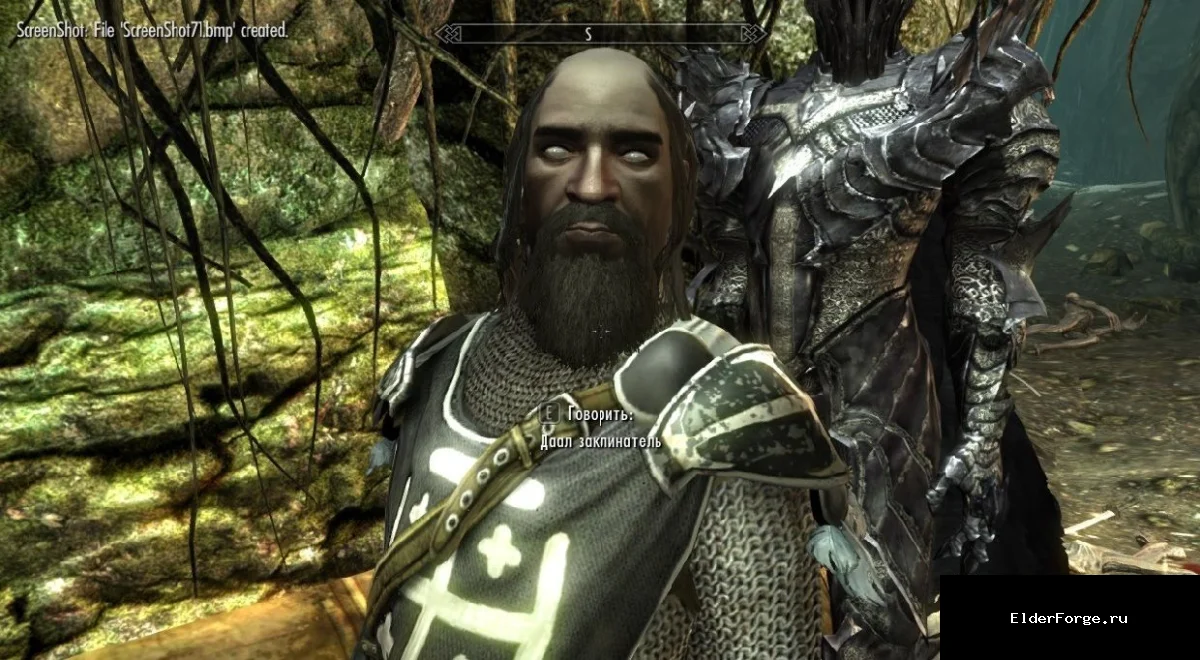 Обложка мода: Даал‑заклинатель: новый магический компаньон для Skyrim Legendary Edition