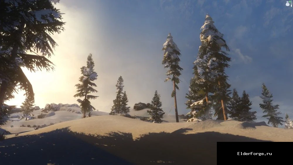 Обложка мода: David's Trees – реалистичные сосны и кусты для Skyrim SE