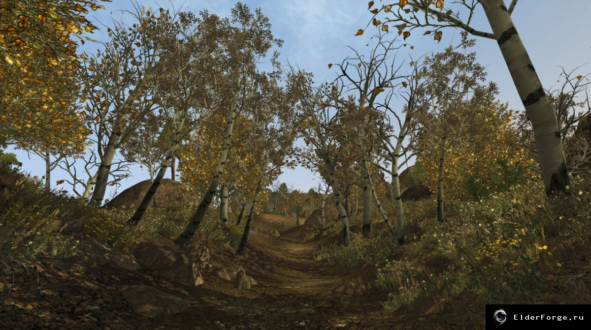 Обложка мода: Деревья Западного Нагорья II – реалистичные модели для Morrowind
