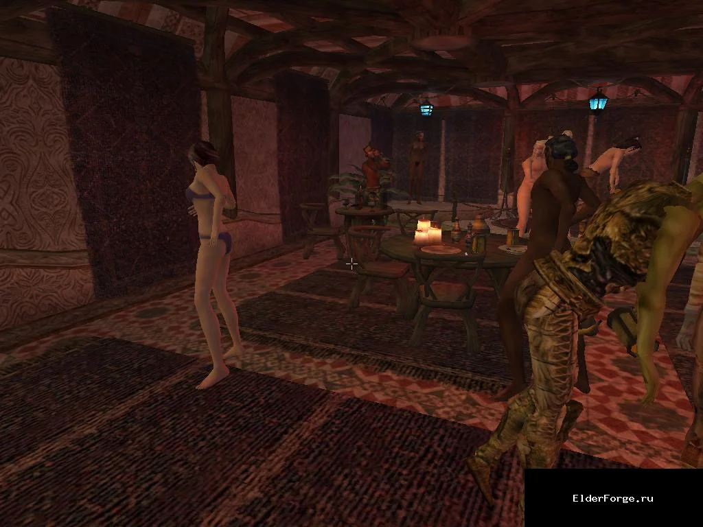 Обложка мода: Dianne's Suran Tavern Time — новые музыканты и посетители в Morrowind