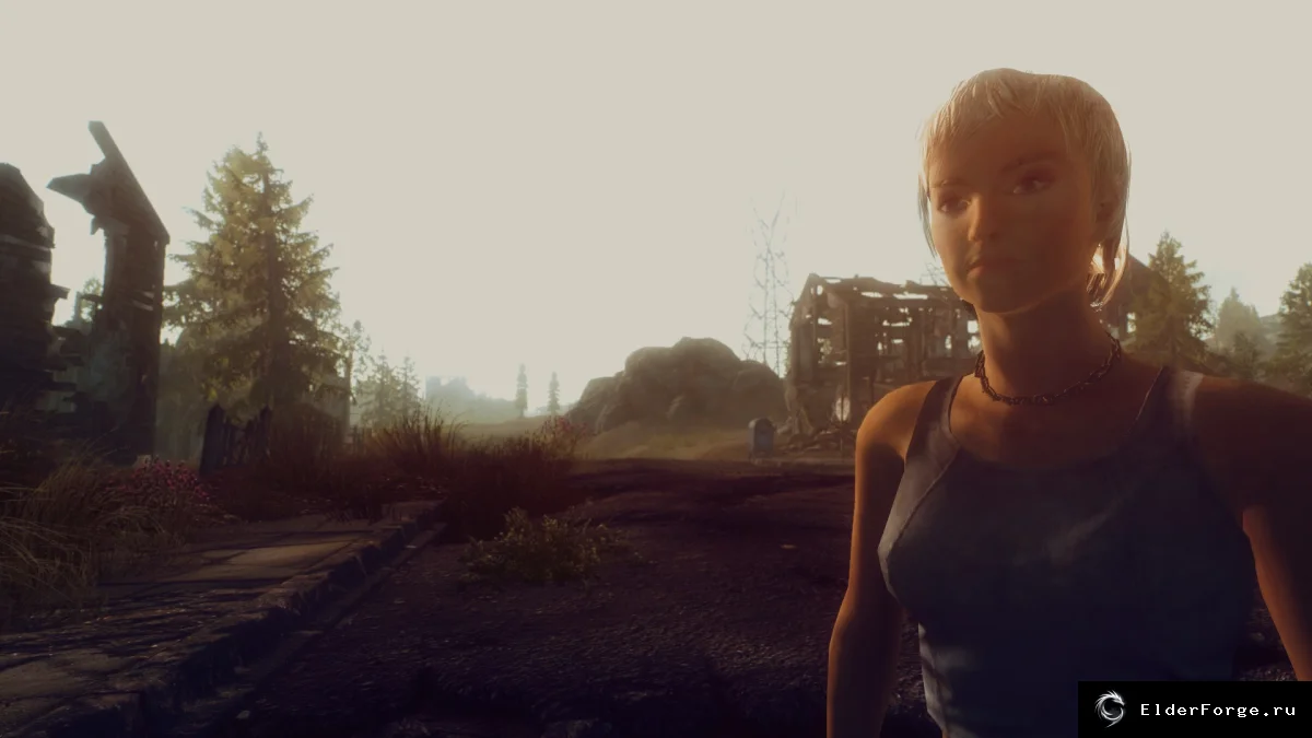 Обложка мода: Цепочки и ожерелья для Fallout 3 — Distributed Necklaces and Chains v1.5