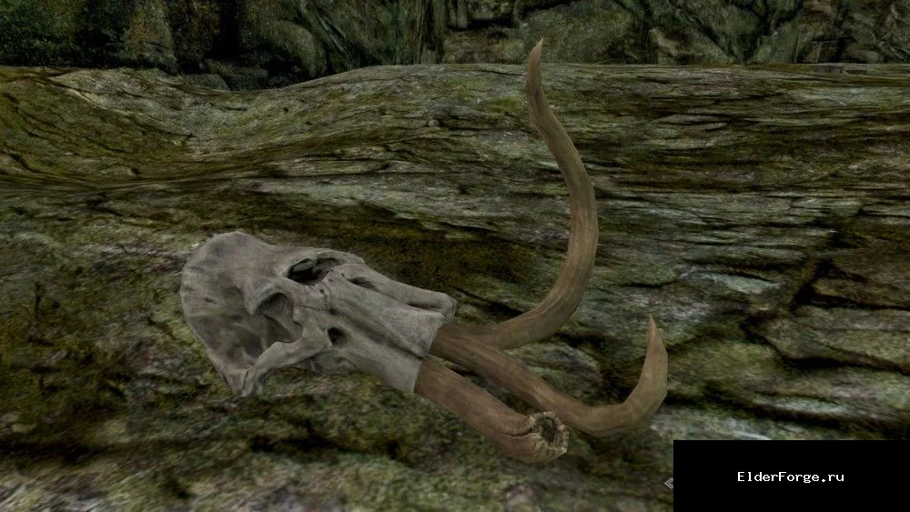Обложка мода: Dynamic Things – Расширенный мод для Skyrim SE/AЕ: динамические предметы и лут