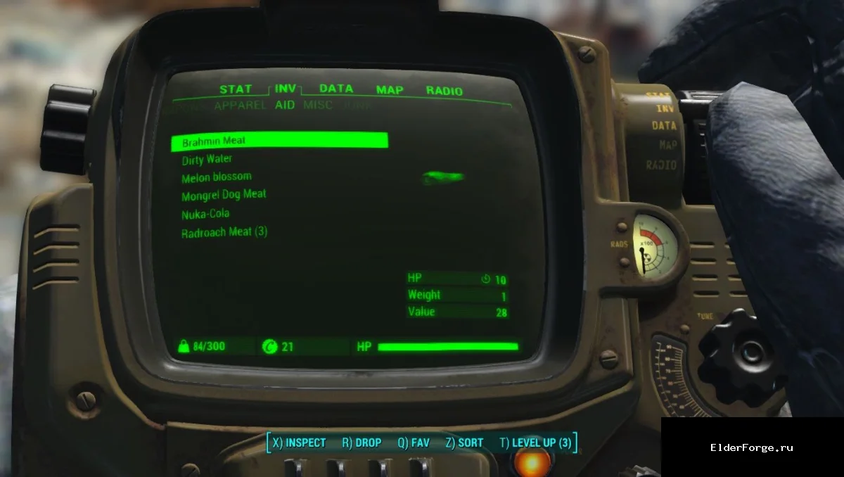 Обложка мода: Еда без радиации — мод для Fallout 4, безопасные продукты и медикаменты
