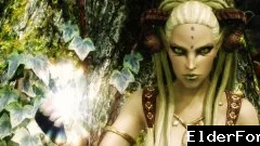 Обложка мода: Экипируемые рога для Skyrim SE – 43 вида и аргонианские перья