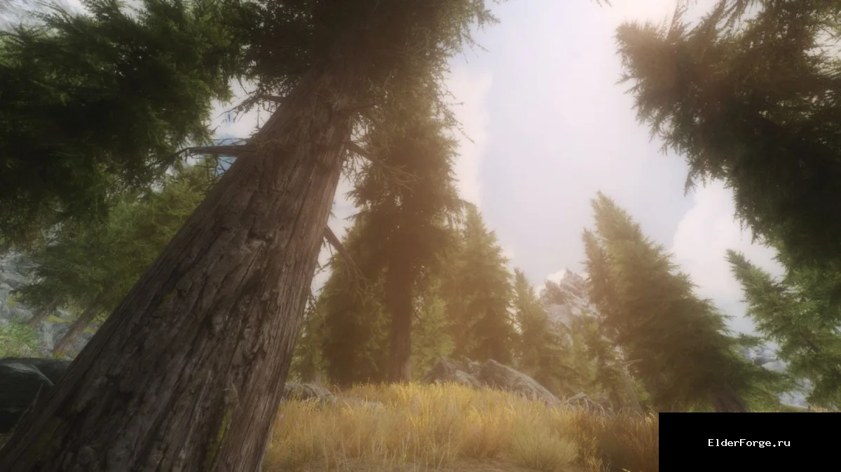 Обложка мода: ENB «Bleak Vivid Weather» – улучшенная графика для Skyrim LE