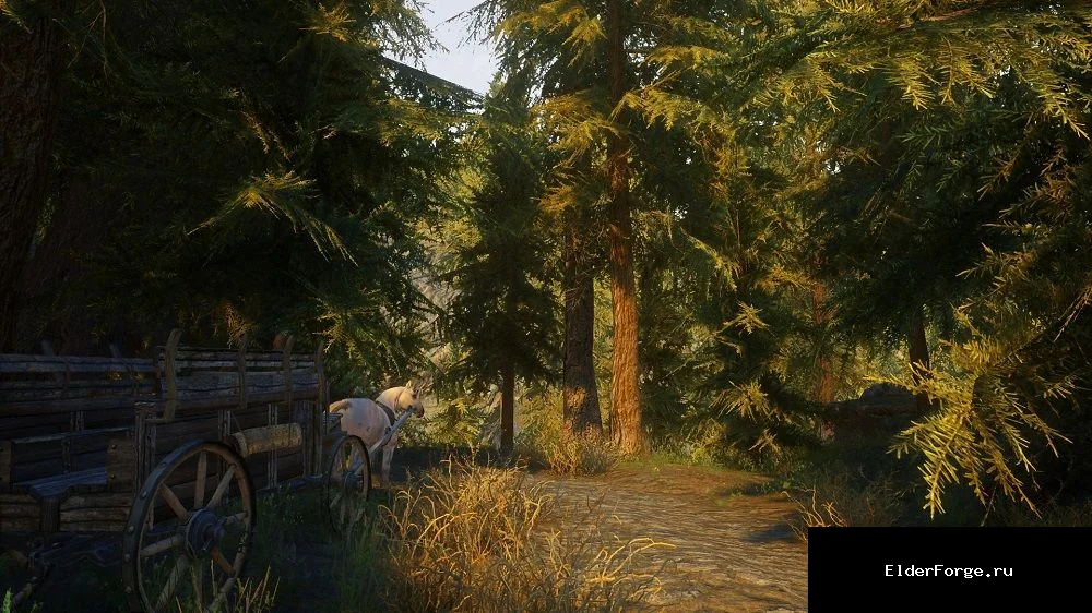 Обложка мода: ENB Dragonlands – лёгкий графический пресет для Skyrim Legendary Edition