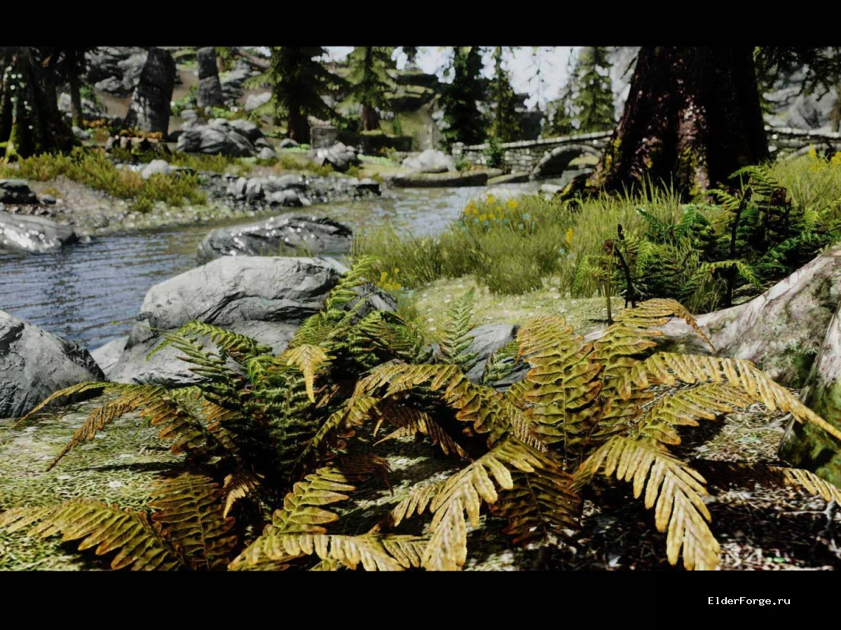 Обложка мода: ENB Evolution – улучшенный графический пресет для Skyrim Legendary Edition