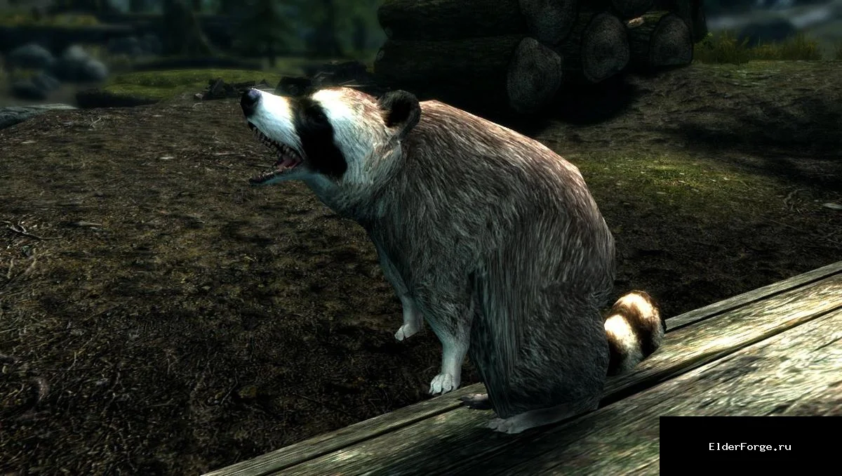 Обложка мода: Еноты и скунсы LE — Racoons and Skunks, Mihail Monsters and Animals