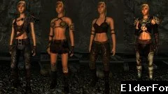 Обложка мода: Эротическая броня рейдеров из аддона The Pitt для Fallout 3