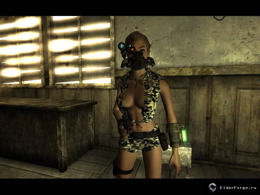Обложка мода: Female Mercenary Gear: экипировка наемницы для FNV